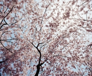 ���S�ł͂Ȃ��T�v�������g